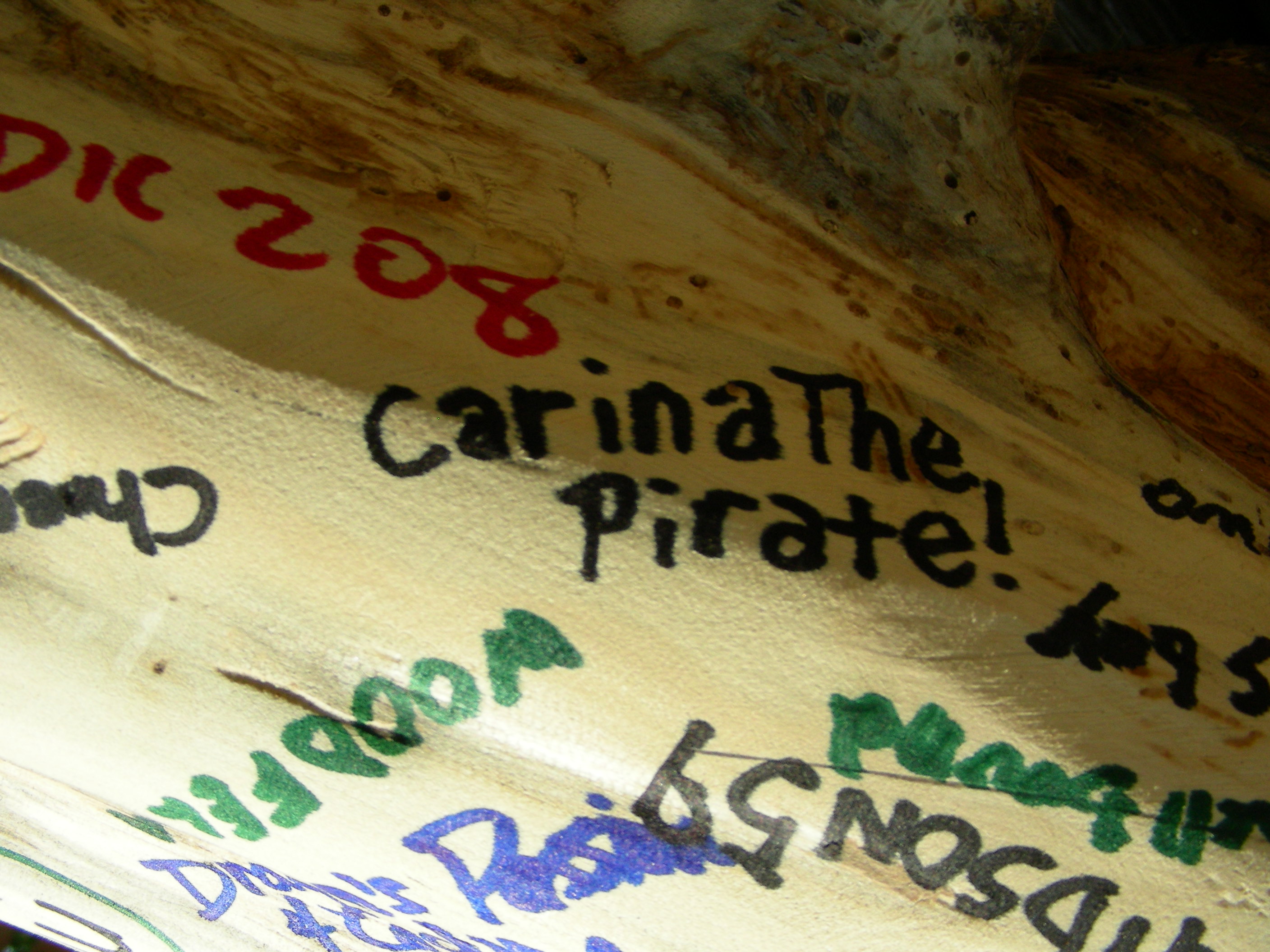 ./2007/Geo Woodstock 5/DSCN0794.JPG